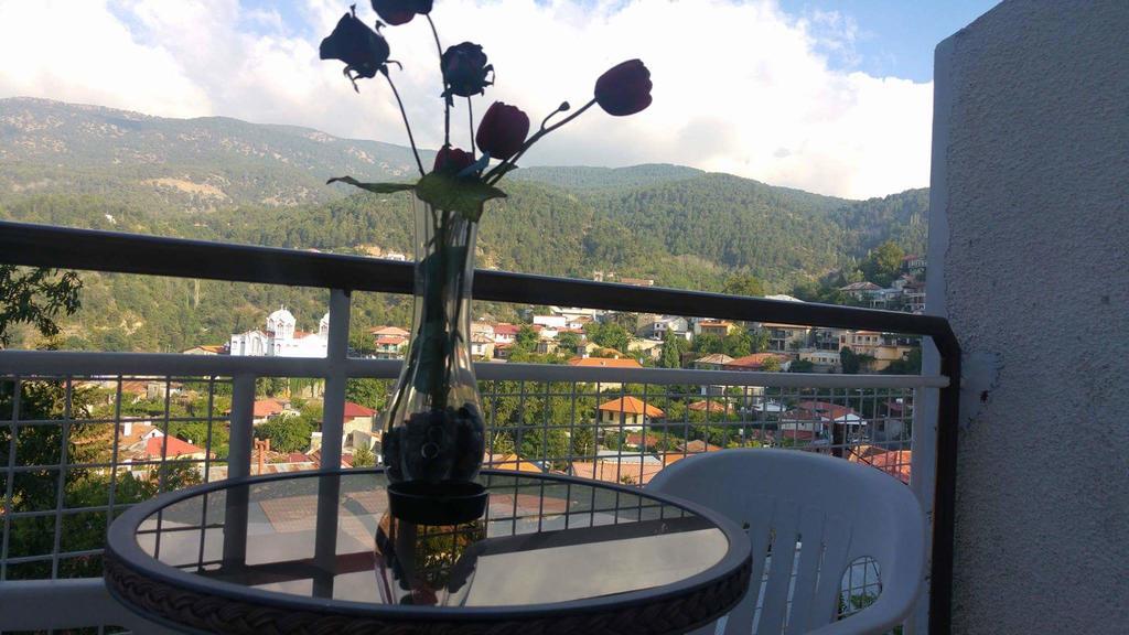 Two Flowers Hotel Pedhoulas Bagian luar foto